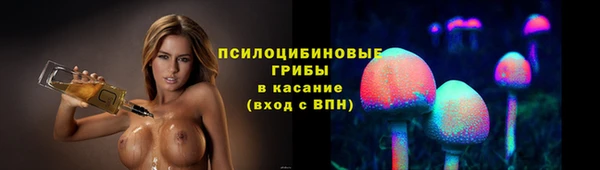 гидра Пересвет