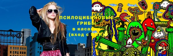 гидра Пересвет
