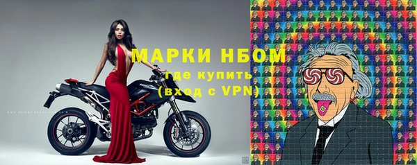 хмурый Нестеровская