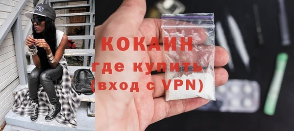 твердый Осинники